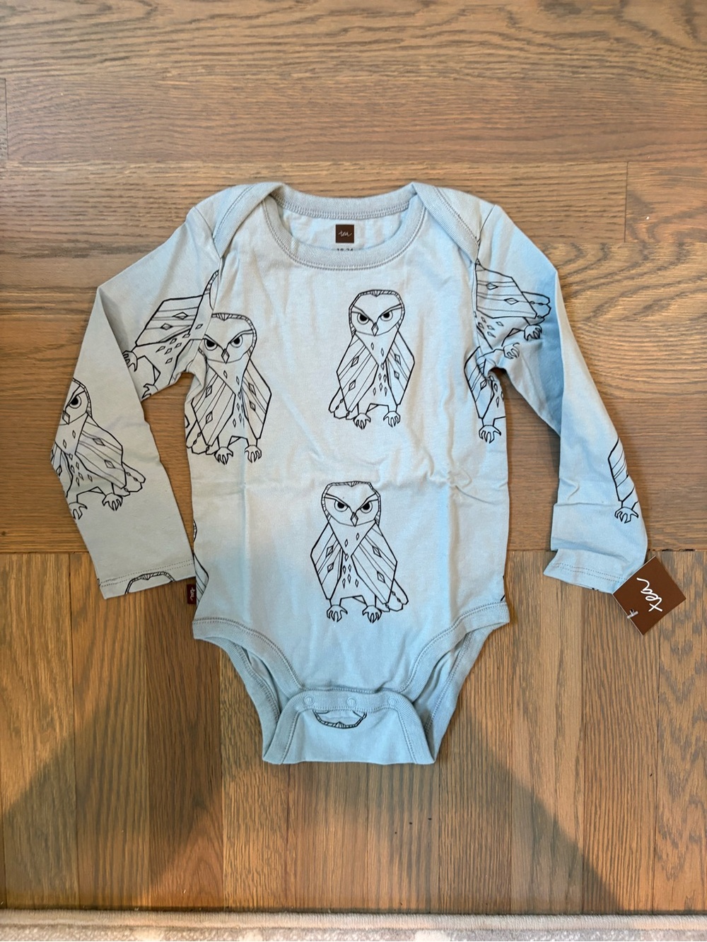 Tea Collection Light Blue Owl Print Long-Sleeve Bodysuit